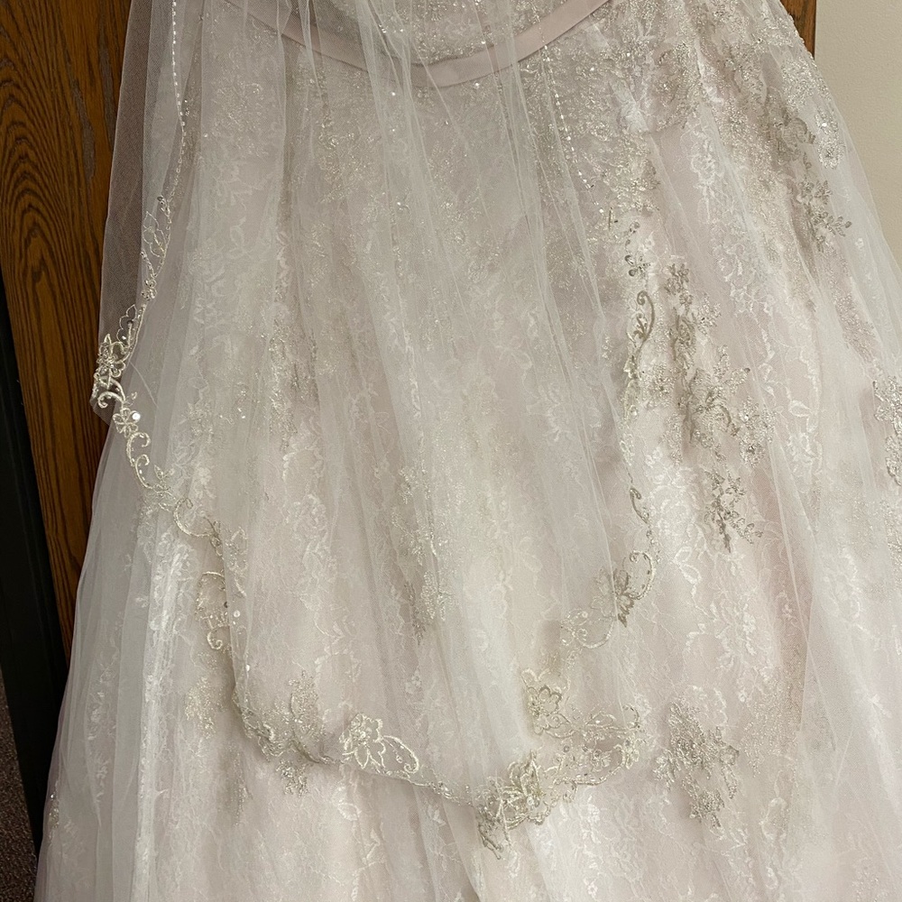 Veil and headpiece
